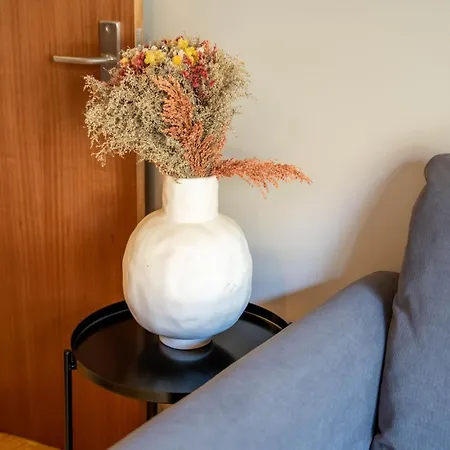 Firmeza388 Charming Flats - Comfort & Privacy With 2 Bedrooms 波尔图